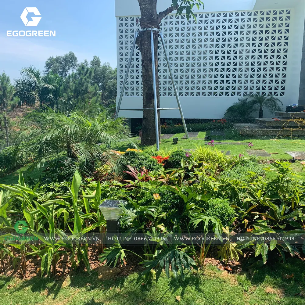 Nhiều loại hoa trồng đan xen cạnh nhau mang hơi thở hoang dã tự nhiên.